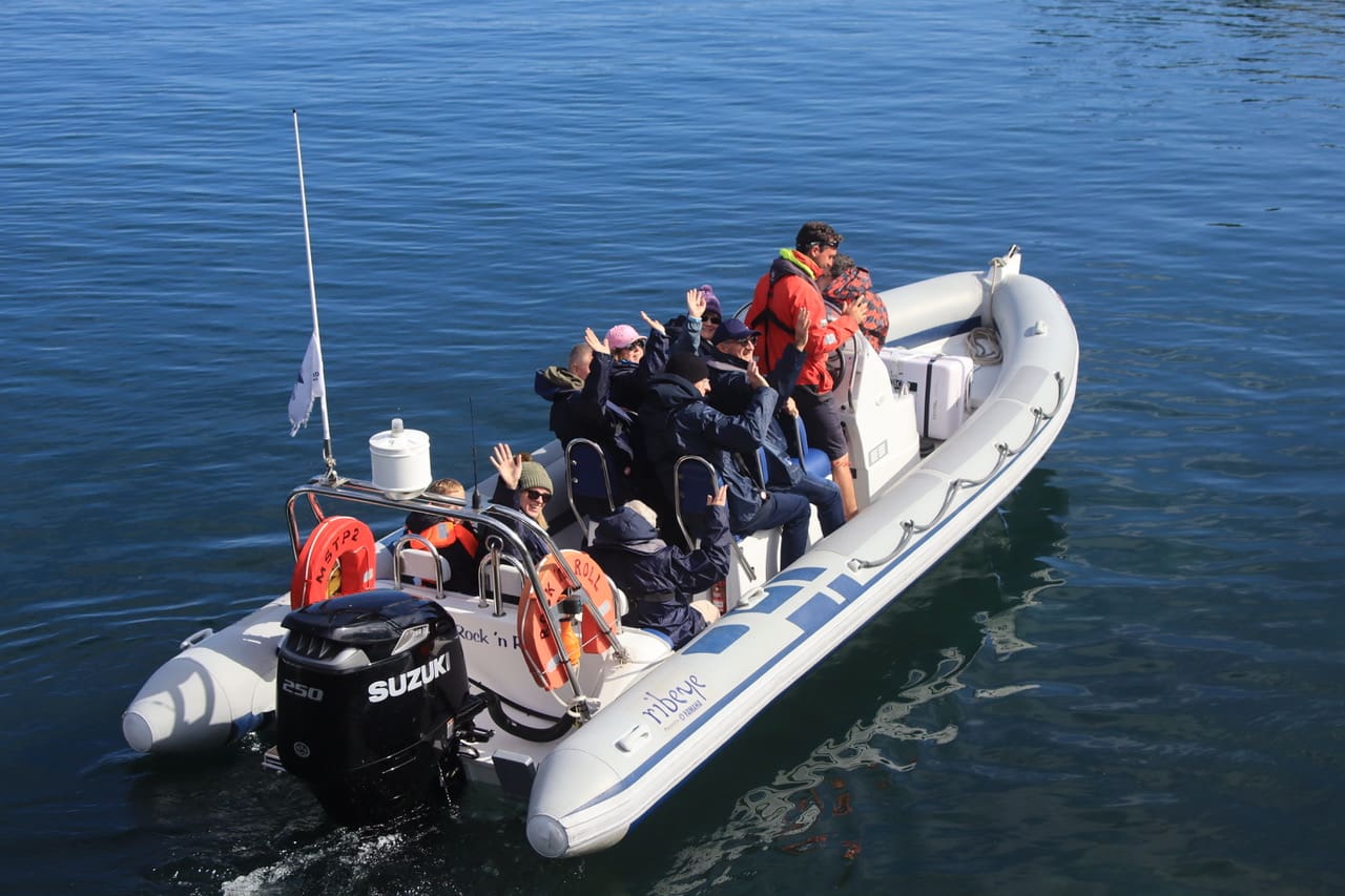 Strangford Boat Excursions