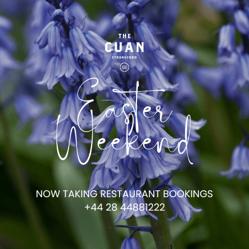 Hello March (500 x 500 px)