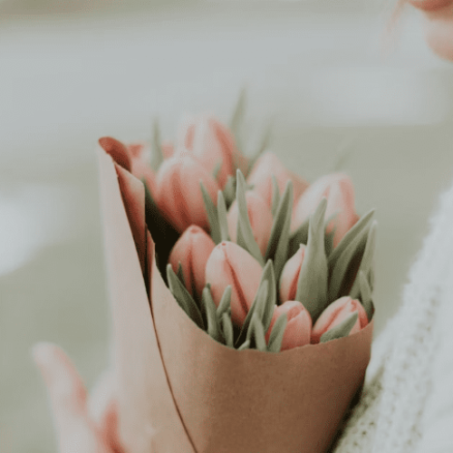 Screenshot 2026-03-03 at 18.53.54